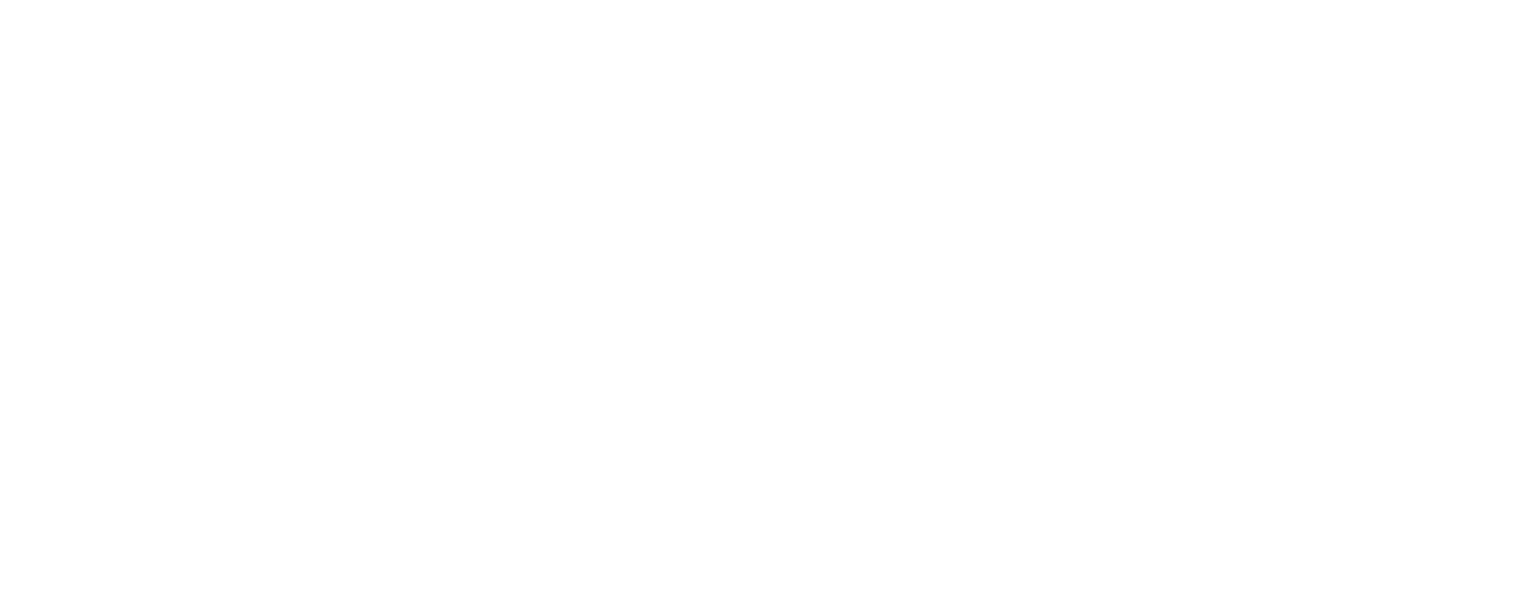 Logo TSR